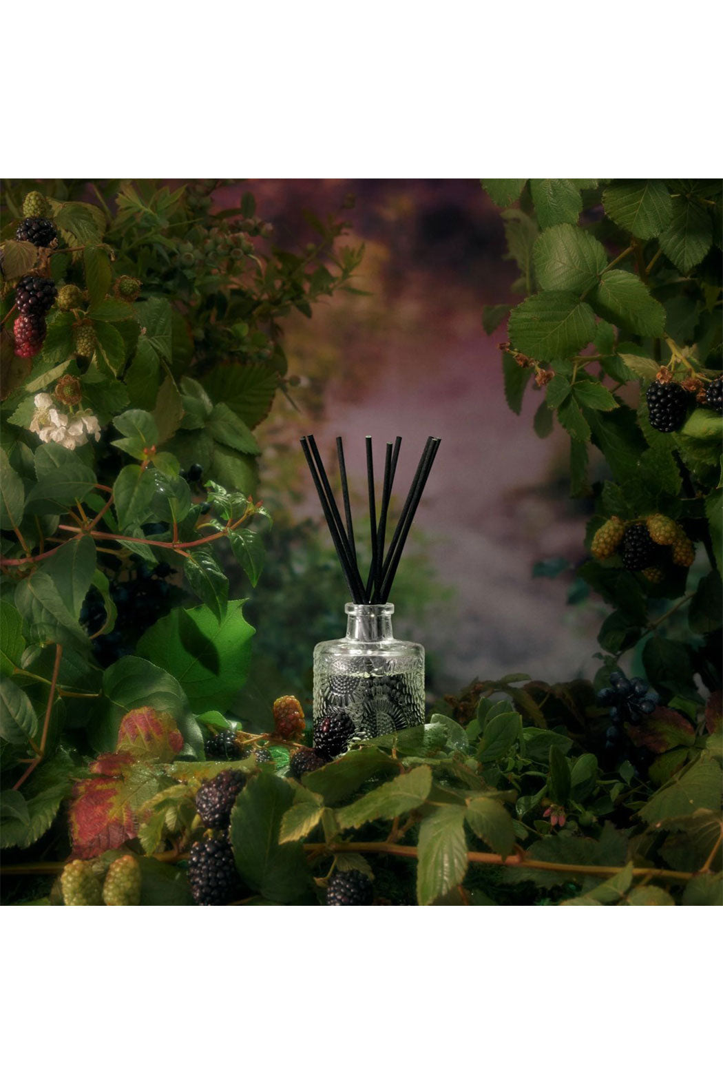 Foraged Wildberry Diffuser