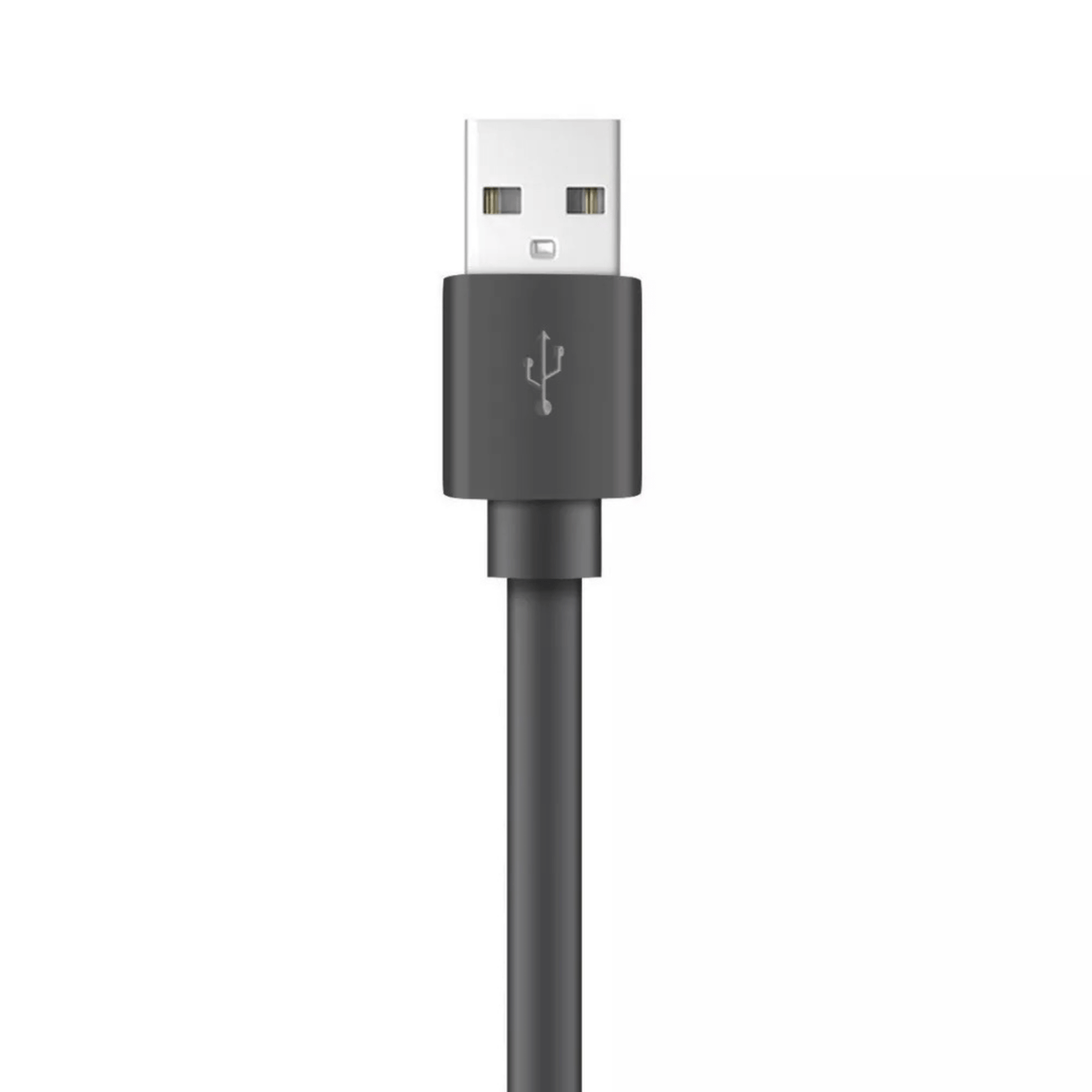 Xyst Charge and Sync USB to USB-C Flat Cable 4Ft