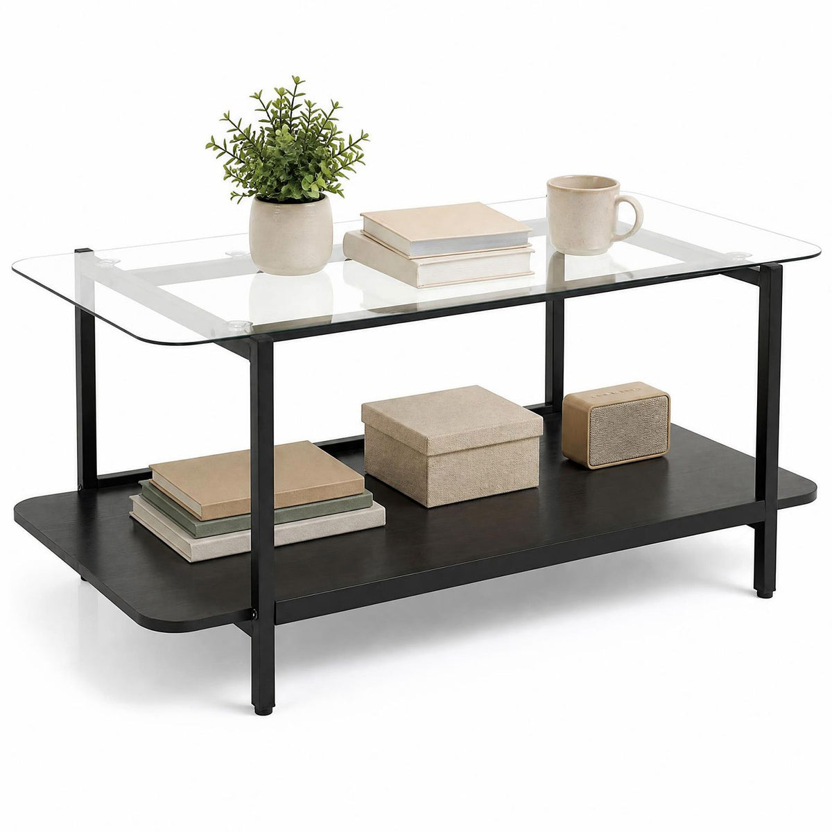 2-Tier Tempered Glass Coffee Table with Storage Shelf-Black
