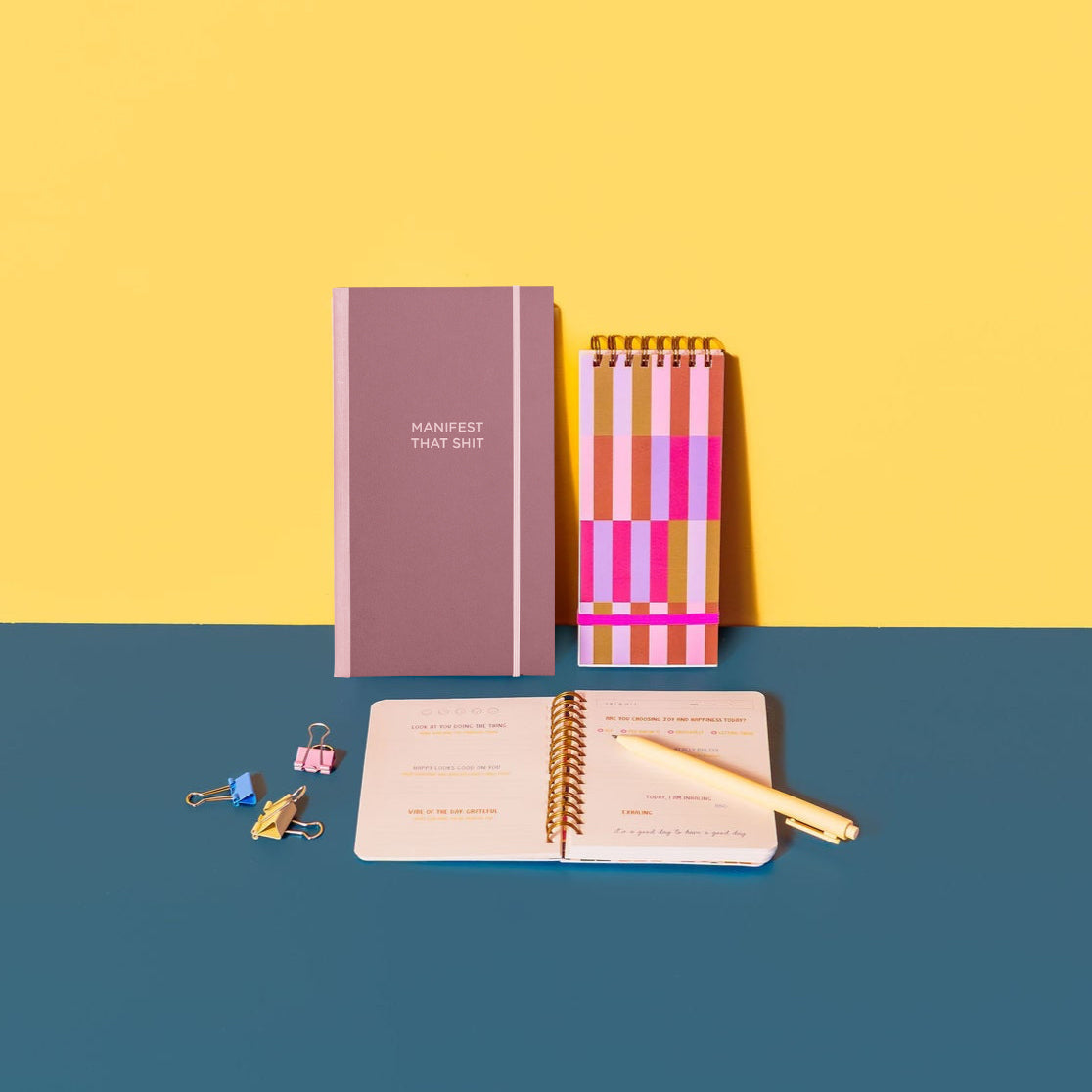 Manifest That Shit Skinny Notebook