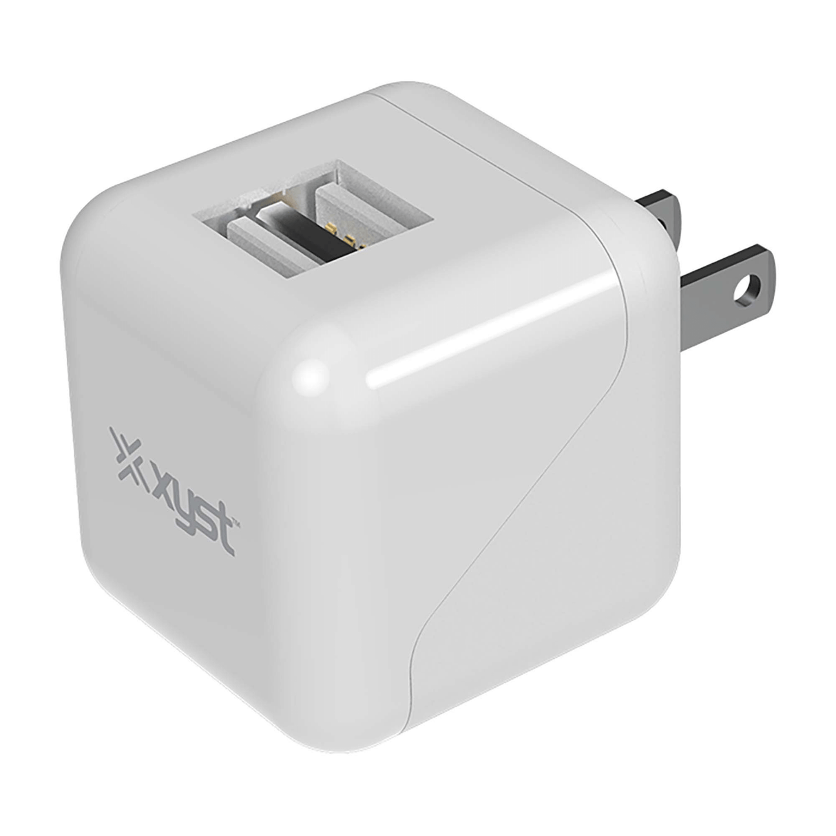 Xyst 2.4-Amp Dual USB Foldable Wall Charger