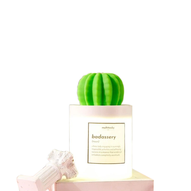 Badassery Cactus Humidifier Lamp