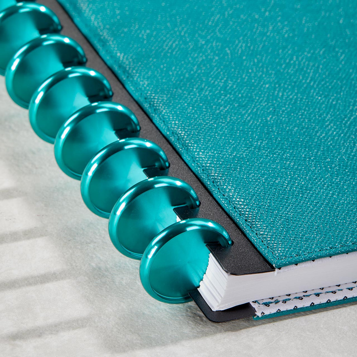 Aluminum Circa Notebook Discs (set of 11)