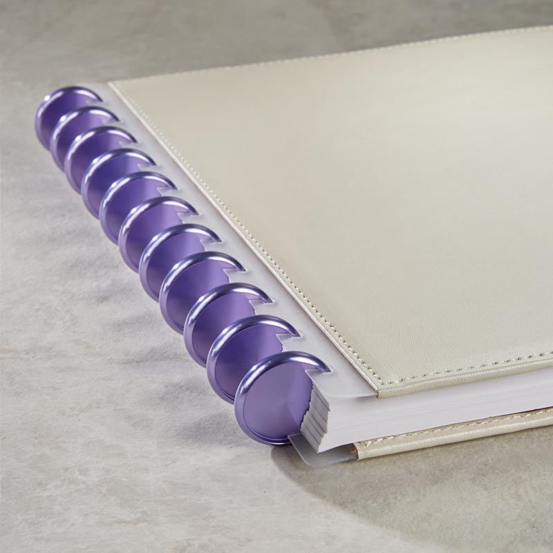 Aluminum Circa Notebook Discs (set of 11)