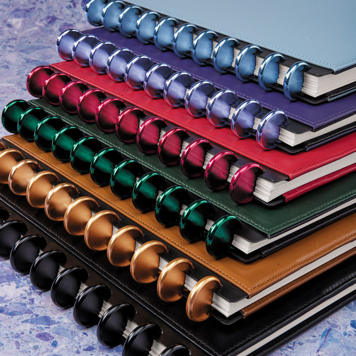 Aluminum Circa Notebook Discs (set of 11)