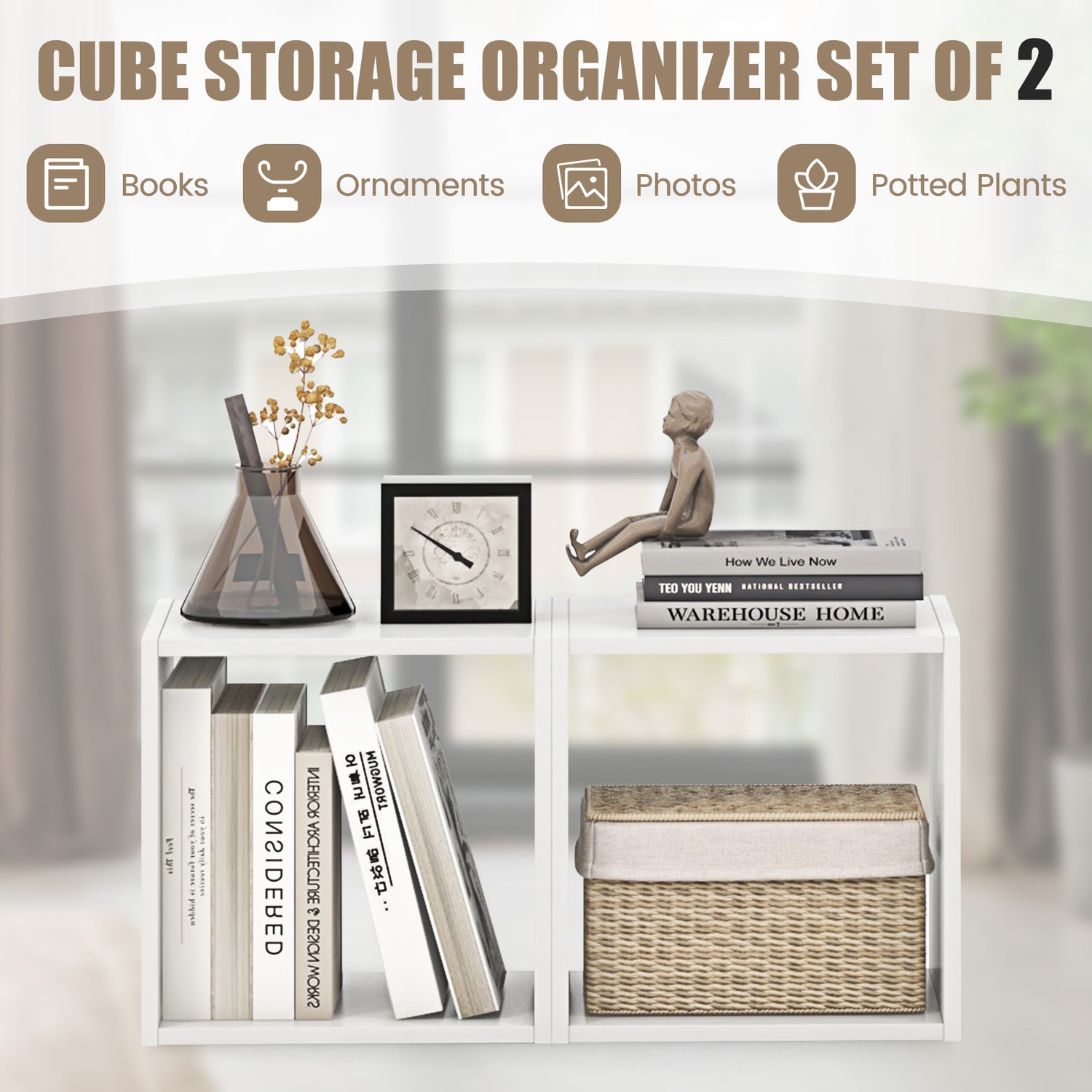 Cube Storage Organizer Set of 2-White
