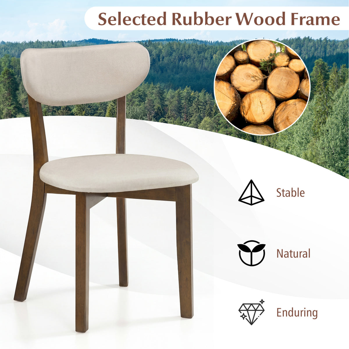 Dining Chairs Set of 4 with Solid Rubber Wood Frame-White