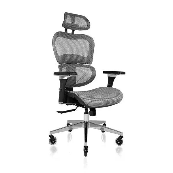 NOUHAUS Ergo3D Ergonomic Office Chair