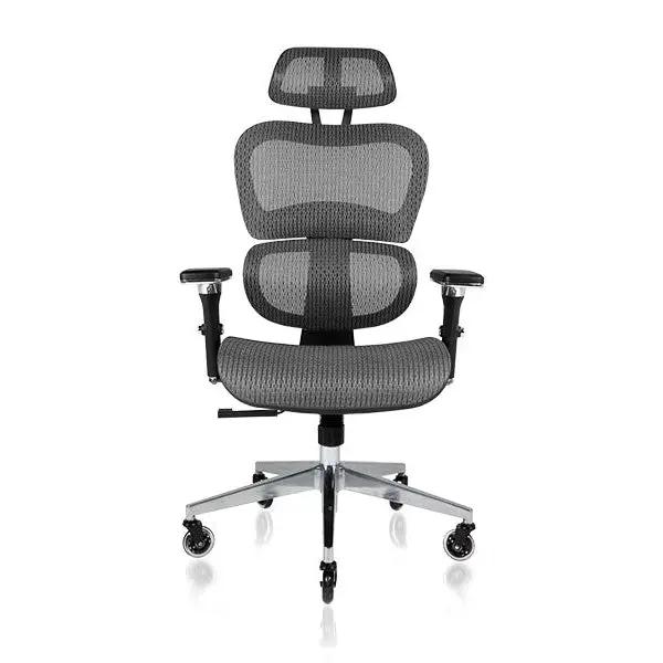 NOUHAUS Ergo3D Ergonomic Office Chair