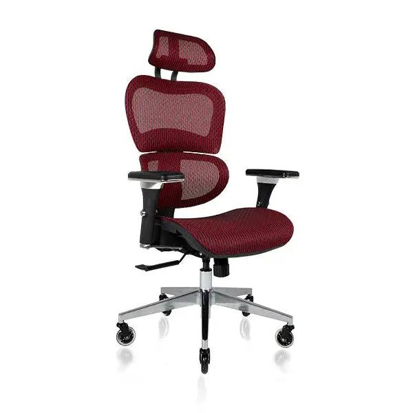 NOUHAUS Ergo3D Ergonomic Office Chair