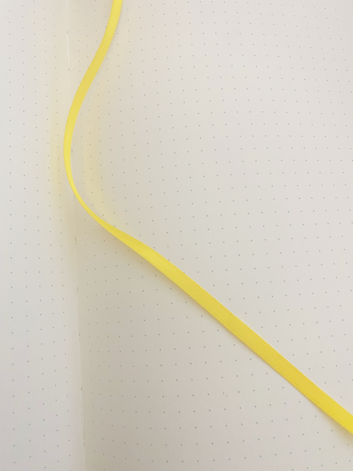 Starry Skies Notebook