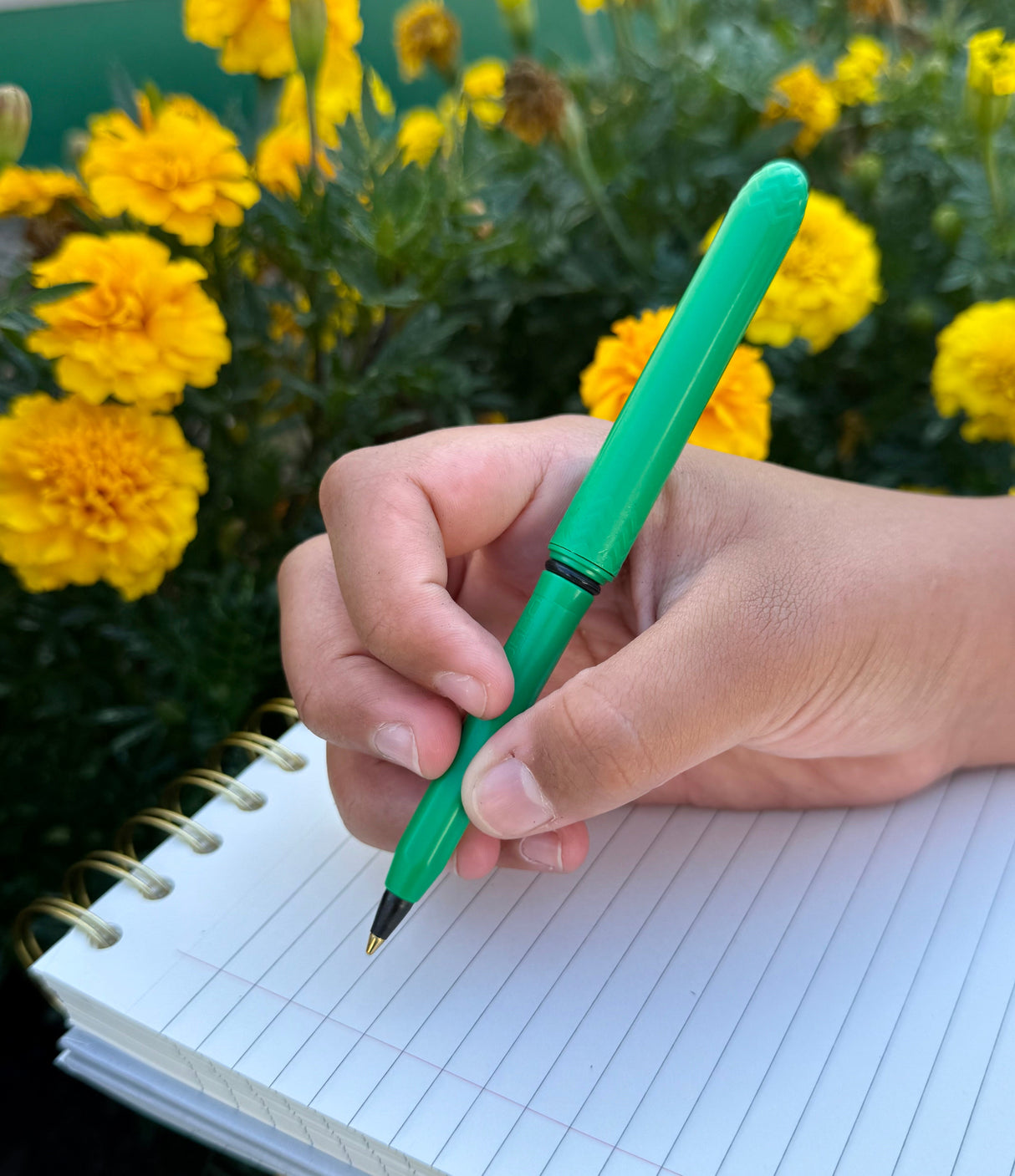 Pocket Pen Pack - Lime