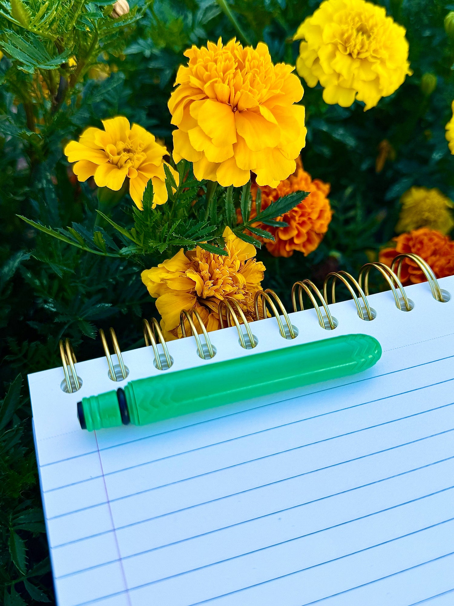 Pocket Pen Pack - Lime