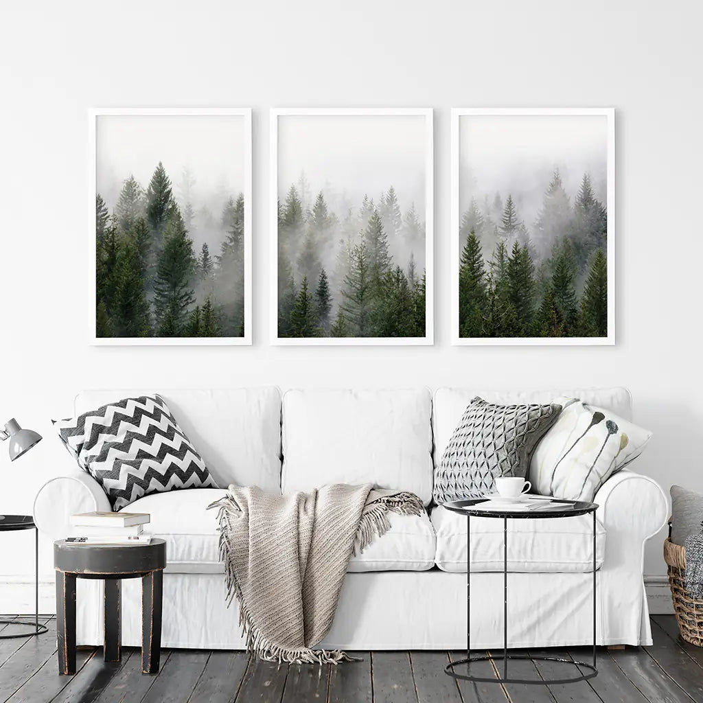 Green Pine Tree Forest. Foggy Nature Wall Art Prints
