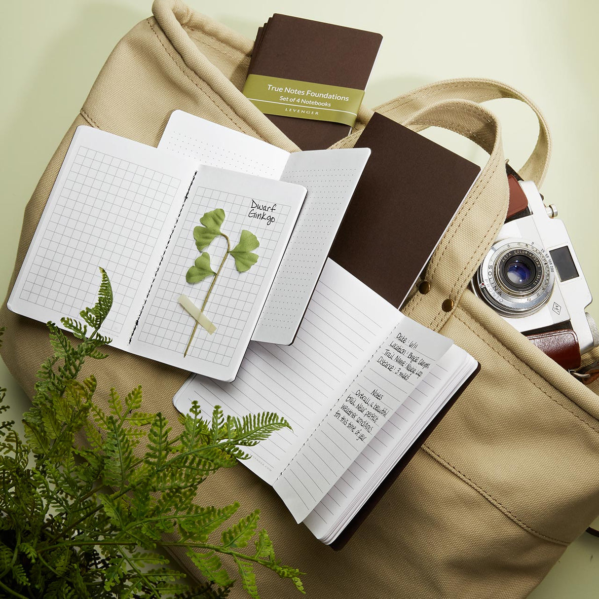 True Notes Foundations (set of 4)