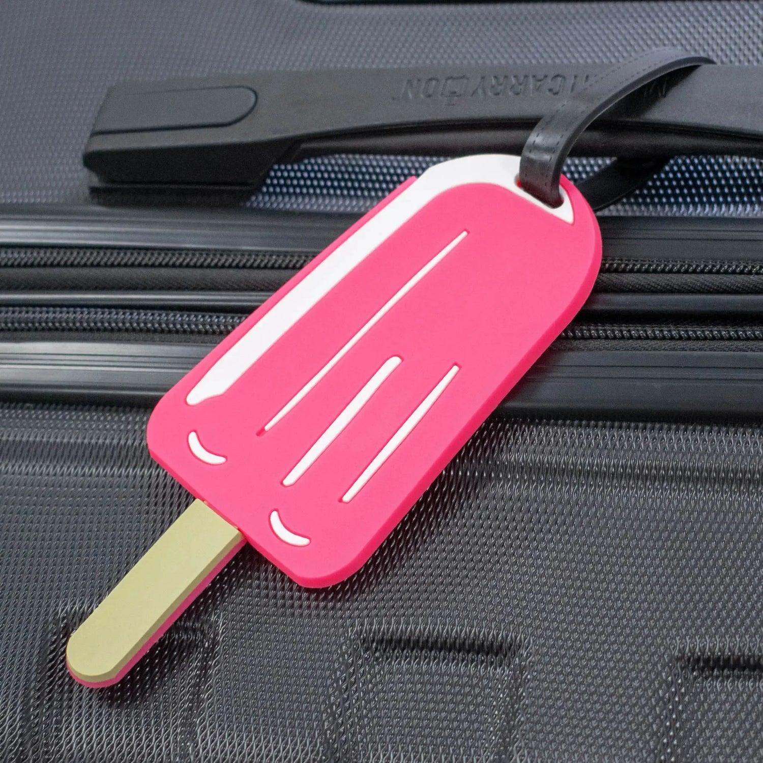 Novelty Collection Luggage Tags Set of 2