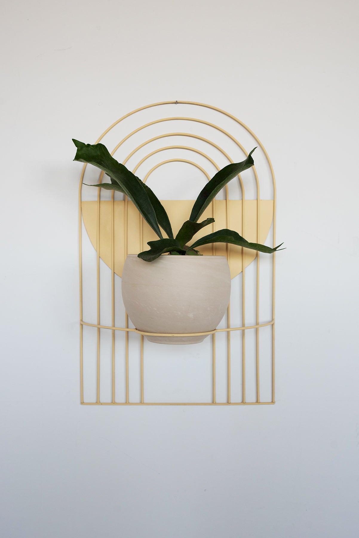 Arches Wall Planter