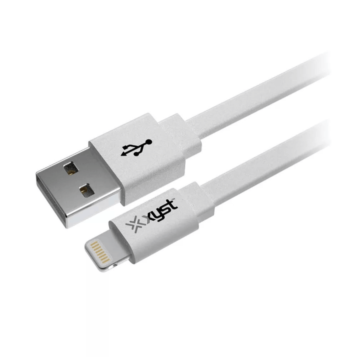 Xyst 2.4-Amp Dual USB Wall Charger With 4Ft Lightning Cable