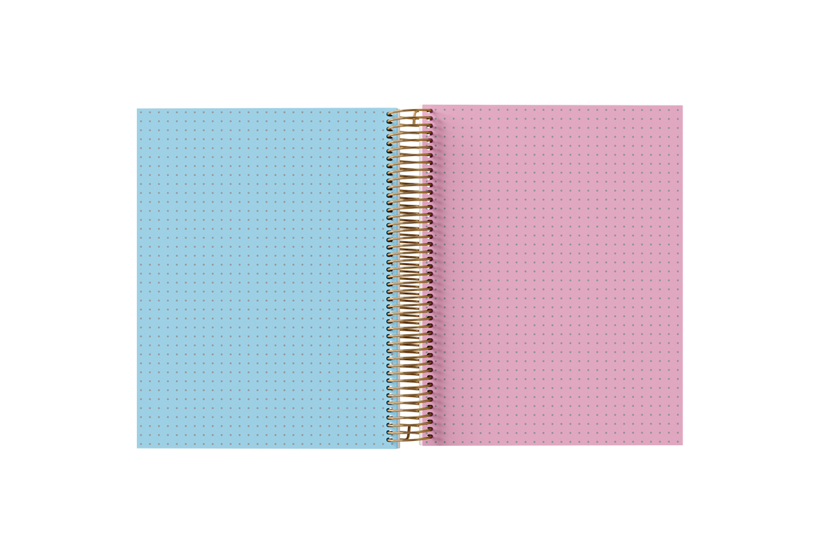 DOTTED Grid Paper Holographic Notebook by BERTEAU & Co.