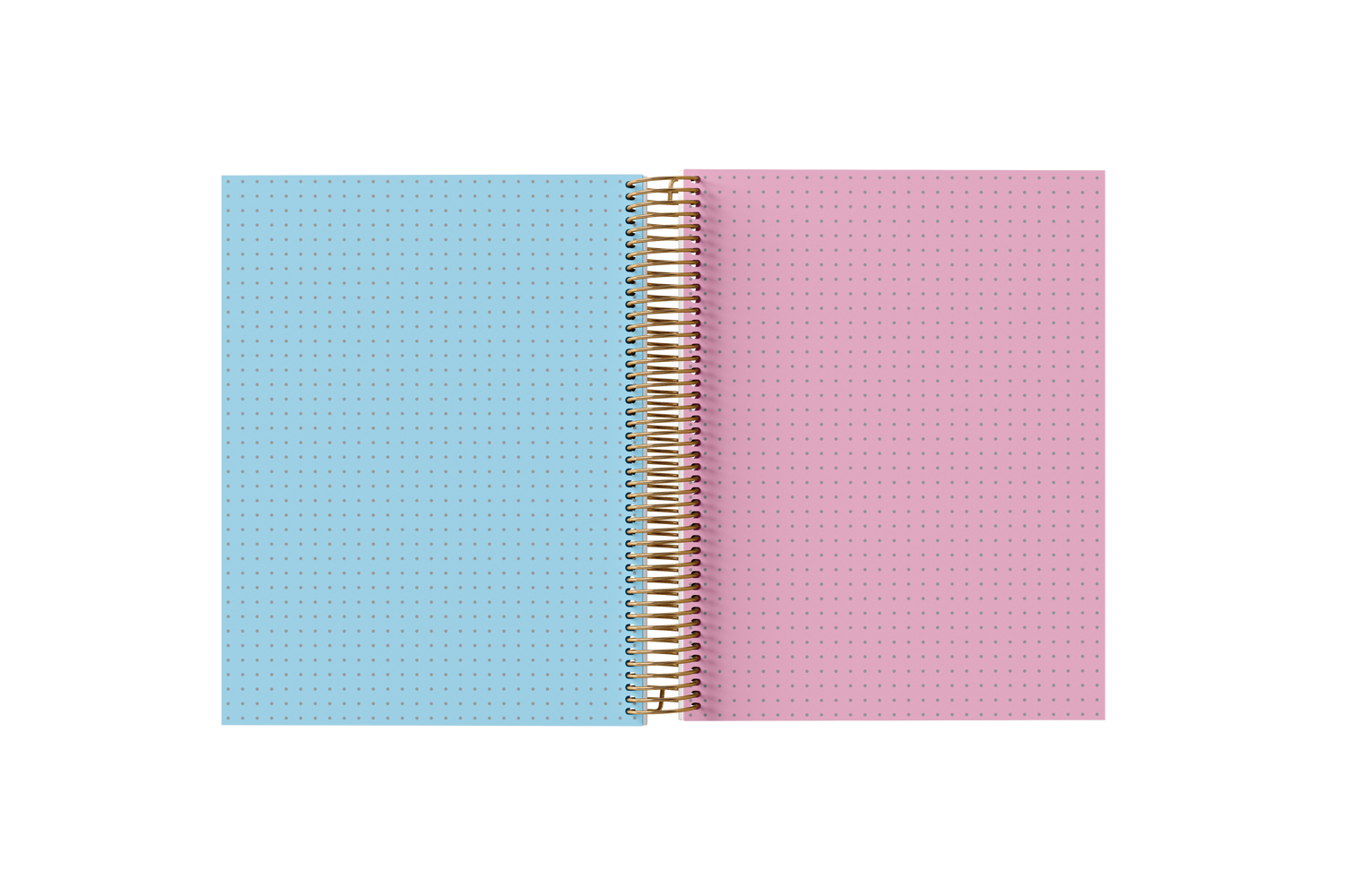 DOTTED Grid Paper Holographic Notebook by BERTEAU & Co.