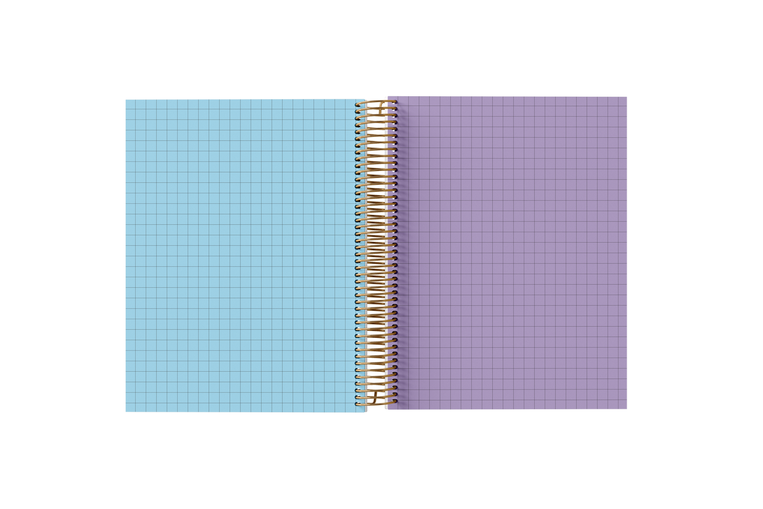 GRAPH Paper Holographic Notebook by BERTEAU & Co.
