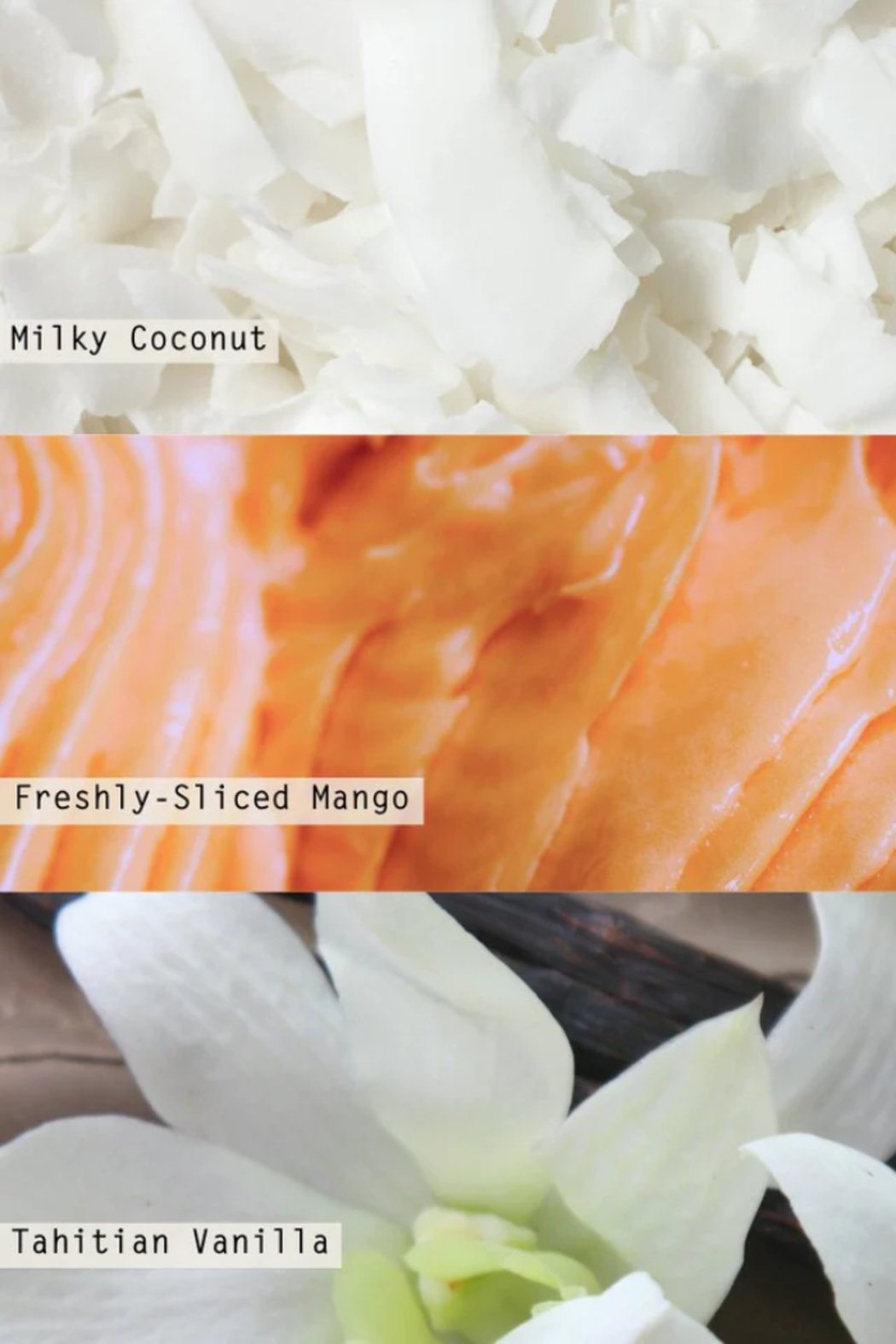 Coconut Milk Mango Diffuser