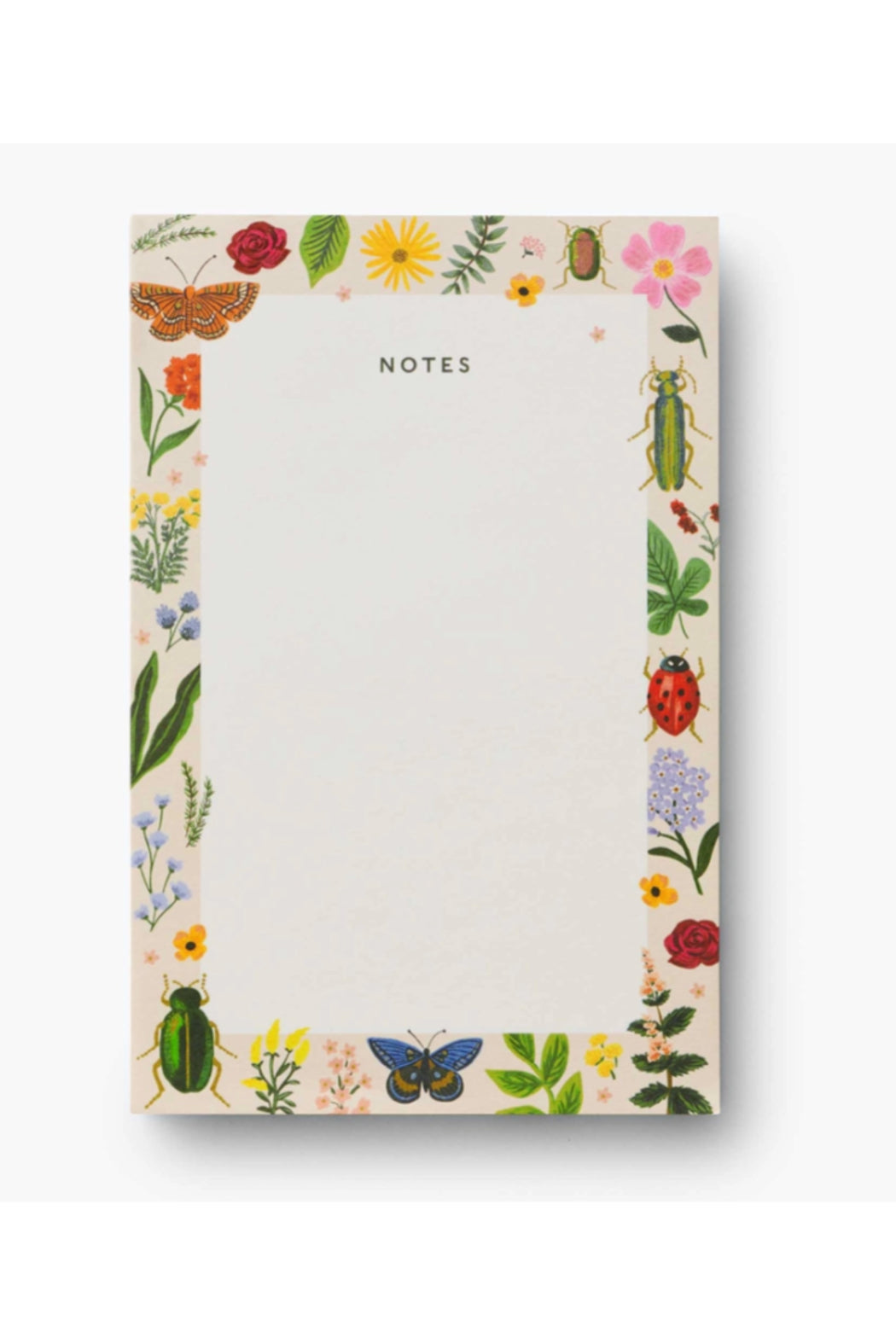 CURIO NOTEPAD