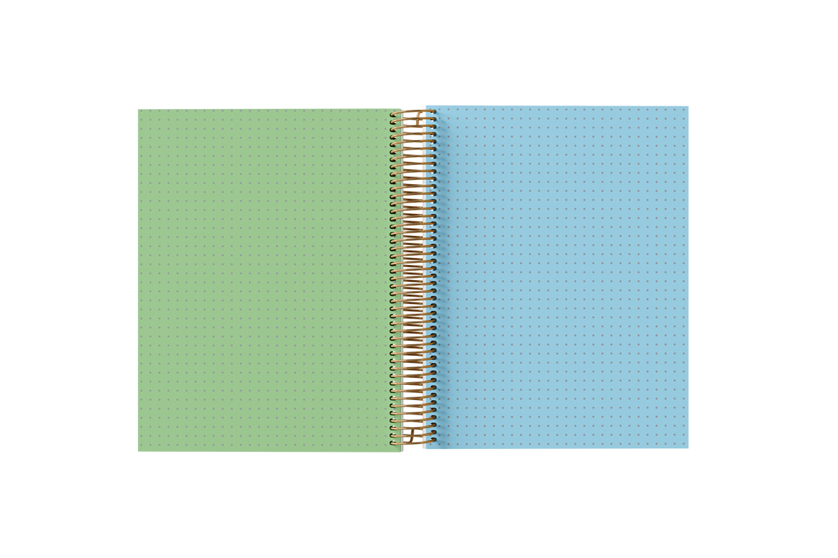 DOTTED Grid Paper Holographic Notebook by BERTEAU & Co.
