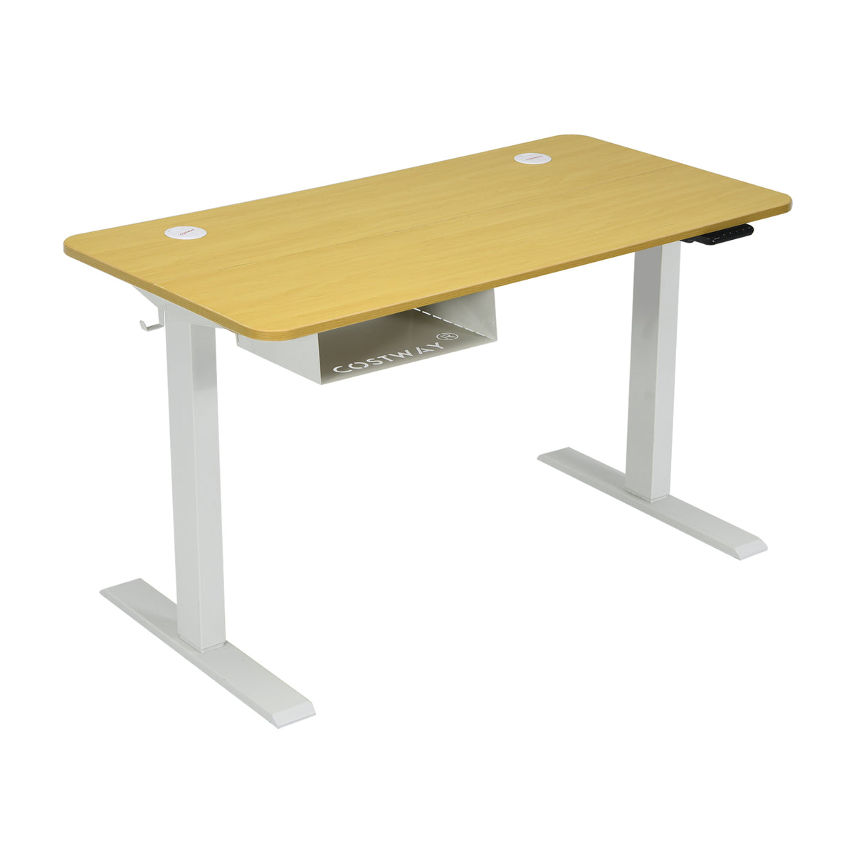 48 Inches Electric Standing Adjustable Desk with Control Panel and USB Port