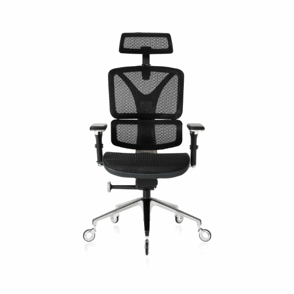 NOUHAUS ErgoPro Ergonomic Office Chair