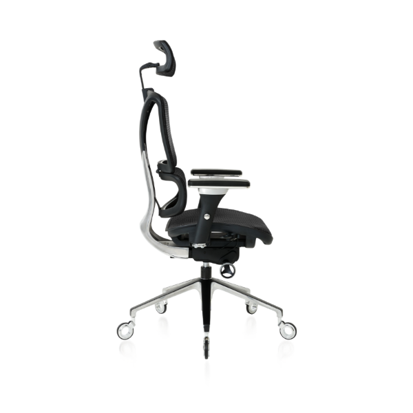 NOUHAUS ErgoPro Ergonomic Office Chair