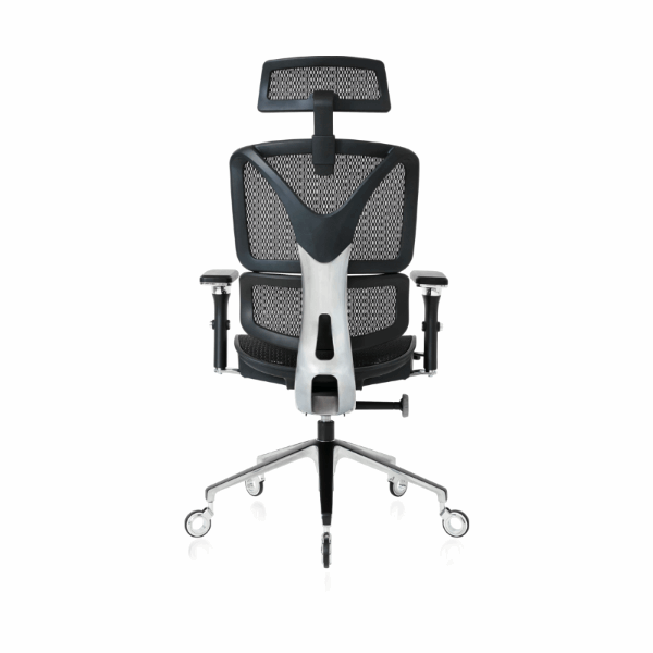 NOUHAUS ErgoPro Ergonomic Office Chair