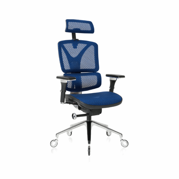 NOUHAUS ErgoPro Ergonomic Office Chair