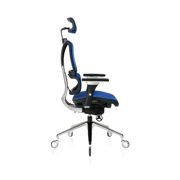 NOUHAUS ErgoPro Ergonomic Office Chair