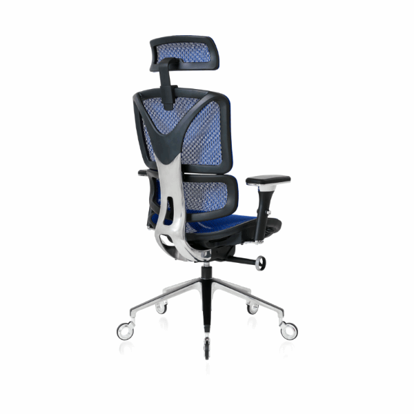 NOUHAUS ErgoPro Ergonomic Office Chair