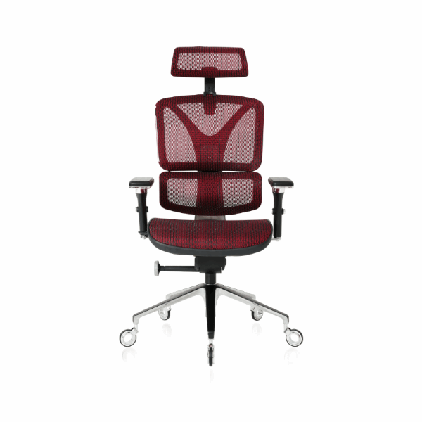 NOUHAUS ErgoPro Ergonomic Office Chair