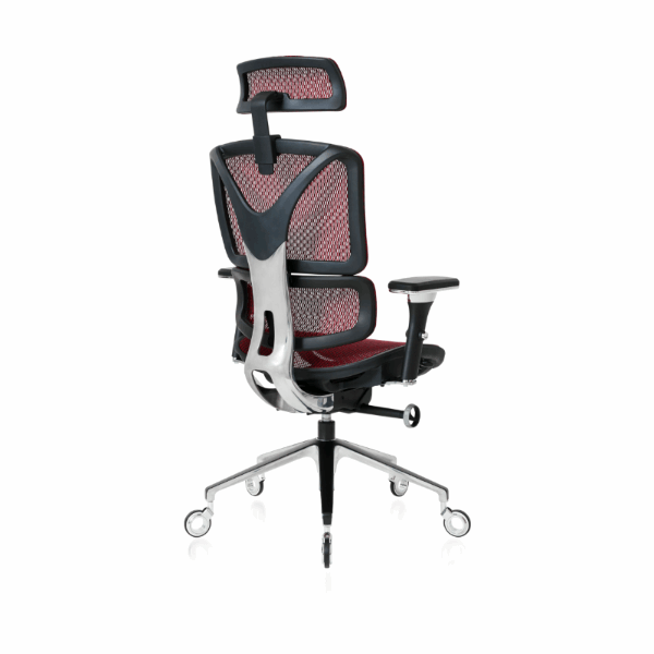 NOUHAUS ErgoPro Ergonomic Office Chair