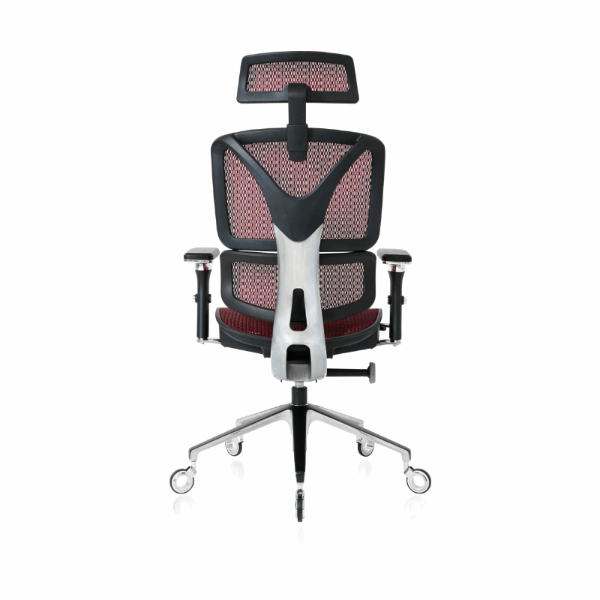 NOUHAUS ErgoPro Ergonomic Office Chair