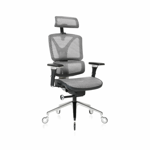 NOUHAUS ErgoPro Ergonomic Office Chair