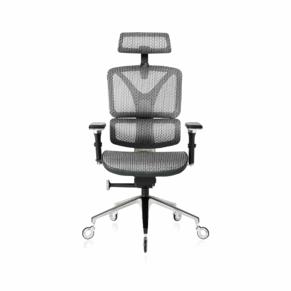 NOUHAUS ErgoPro Ergonomic Office Chair