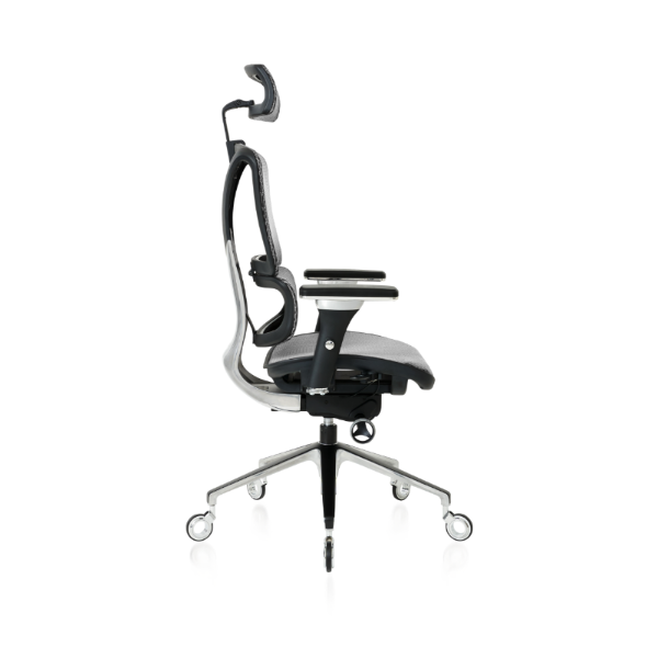 NOUHAUS ErgoPro Ergonomic Office Chair