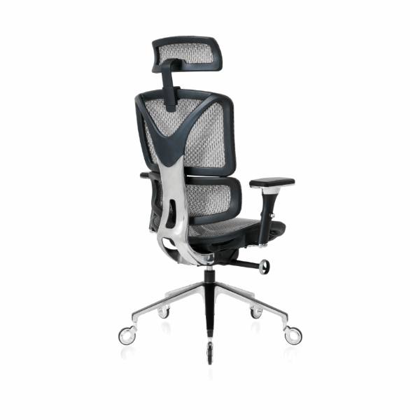 NOUHAUS ErgoPro Ergonomic Office Chair