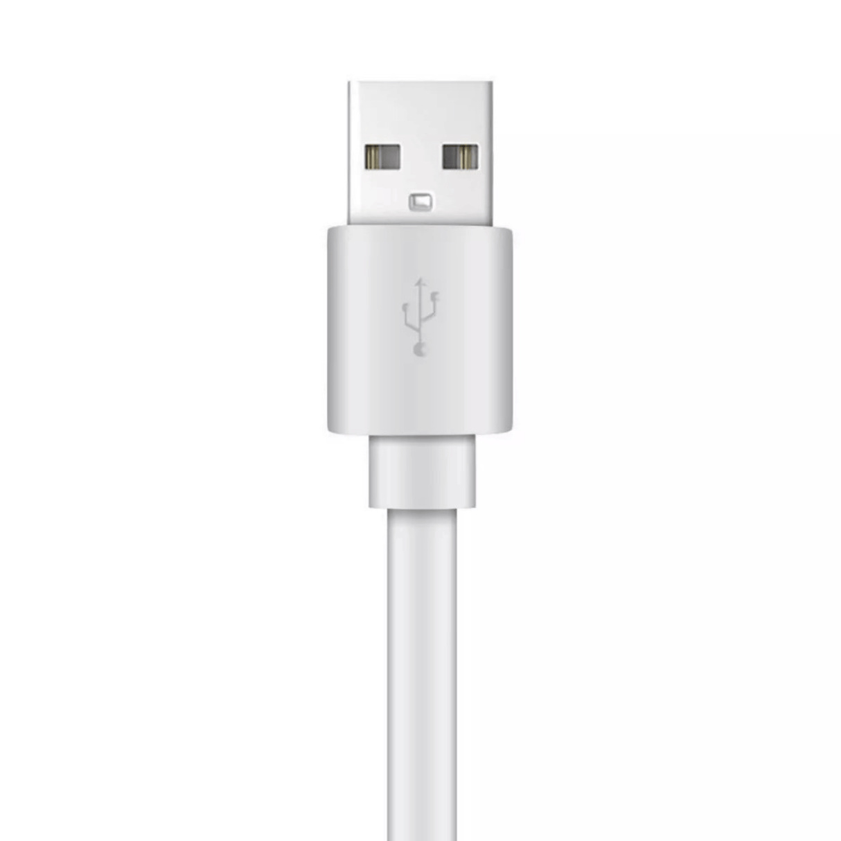 Xyst Charge and Sync USB to Lightning Flat Cable 4Ft
