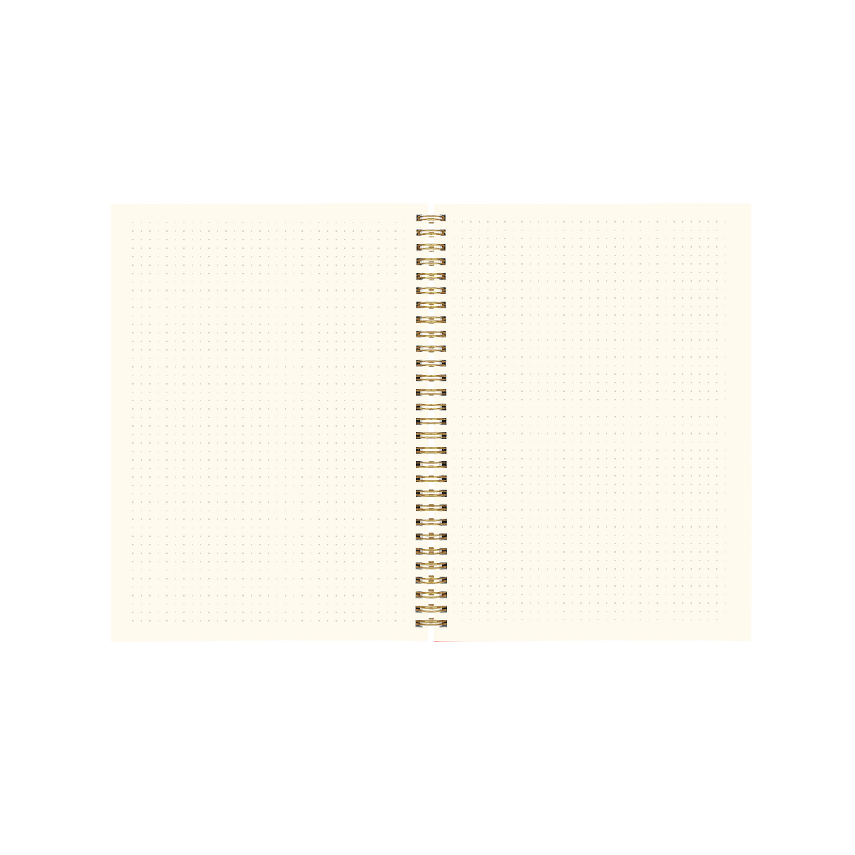 Daisy Check Bullet Journal