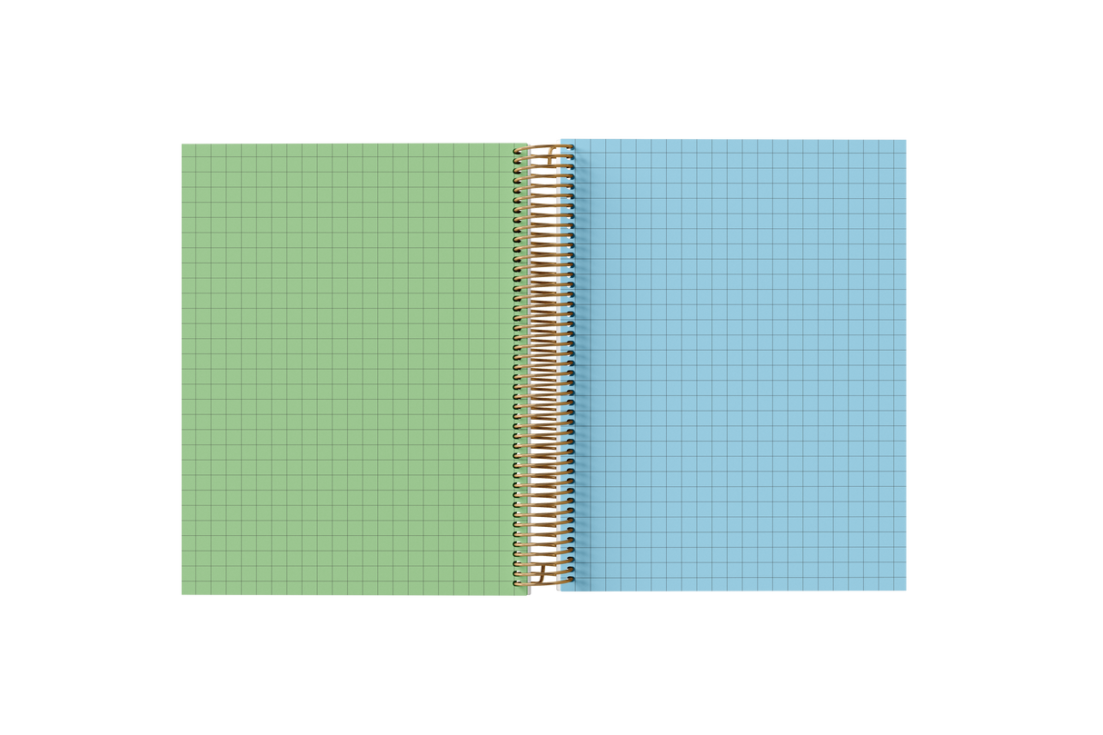GRAPH Paper Holographic Notebook by BERTEAU & Co.