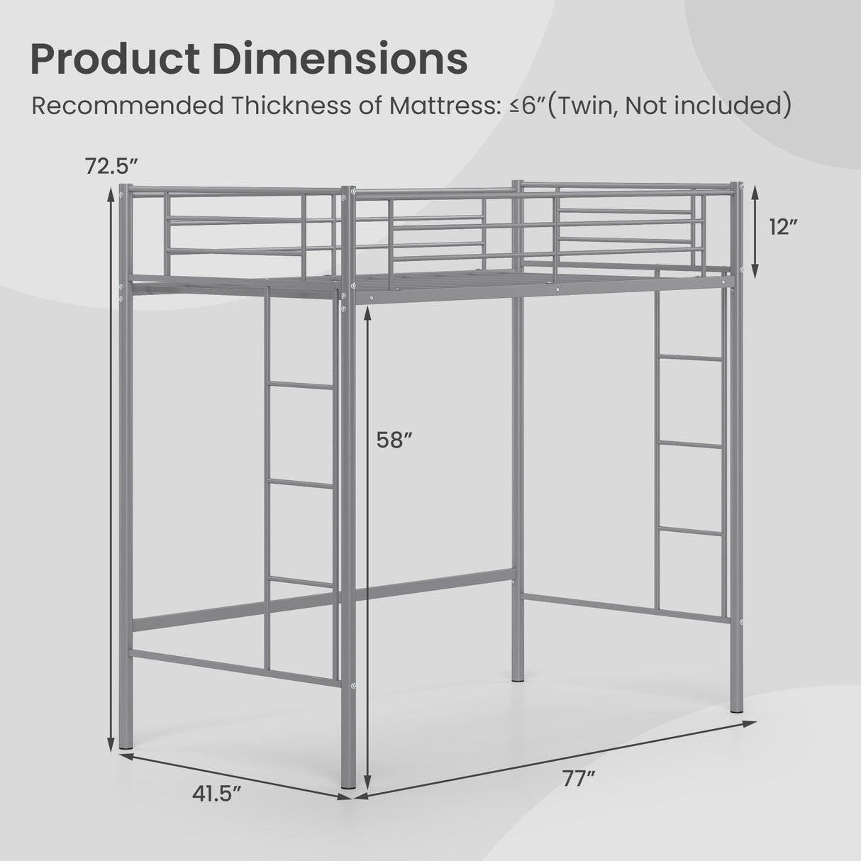Twin Loft Bed Frame with 2 Ladders Full-length Guardrail