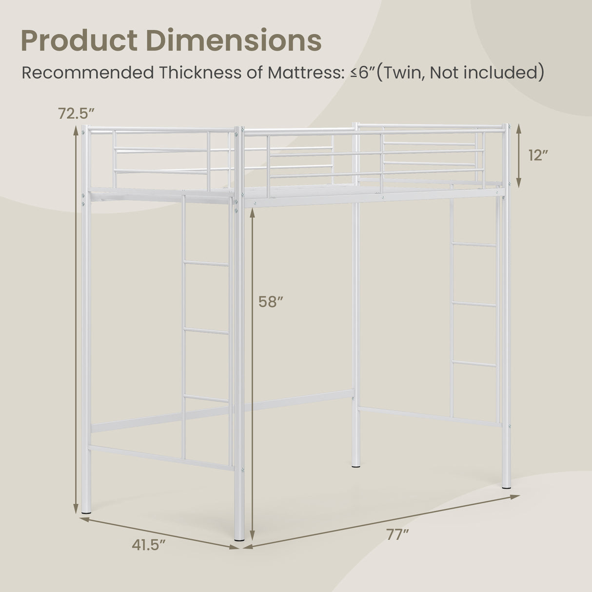 Twin Loft Bed Frame with 2 Ladders Full-length Guardrail