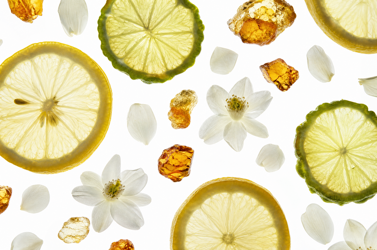 Ocean Desire Oil Blend - Inspired by The Ritz-Carlton Hotels®
