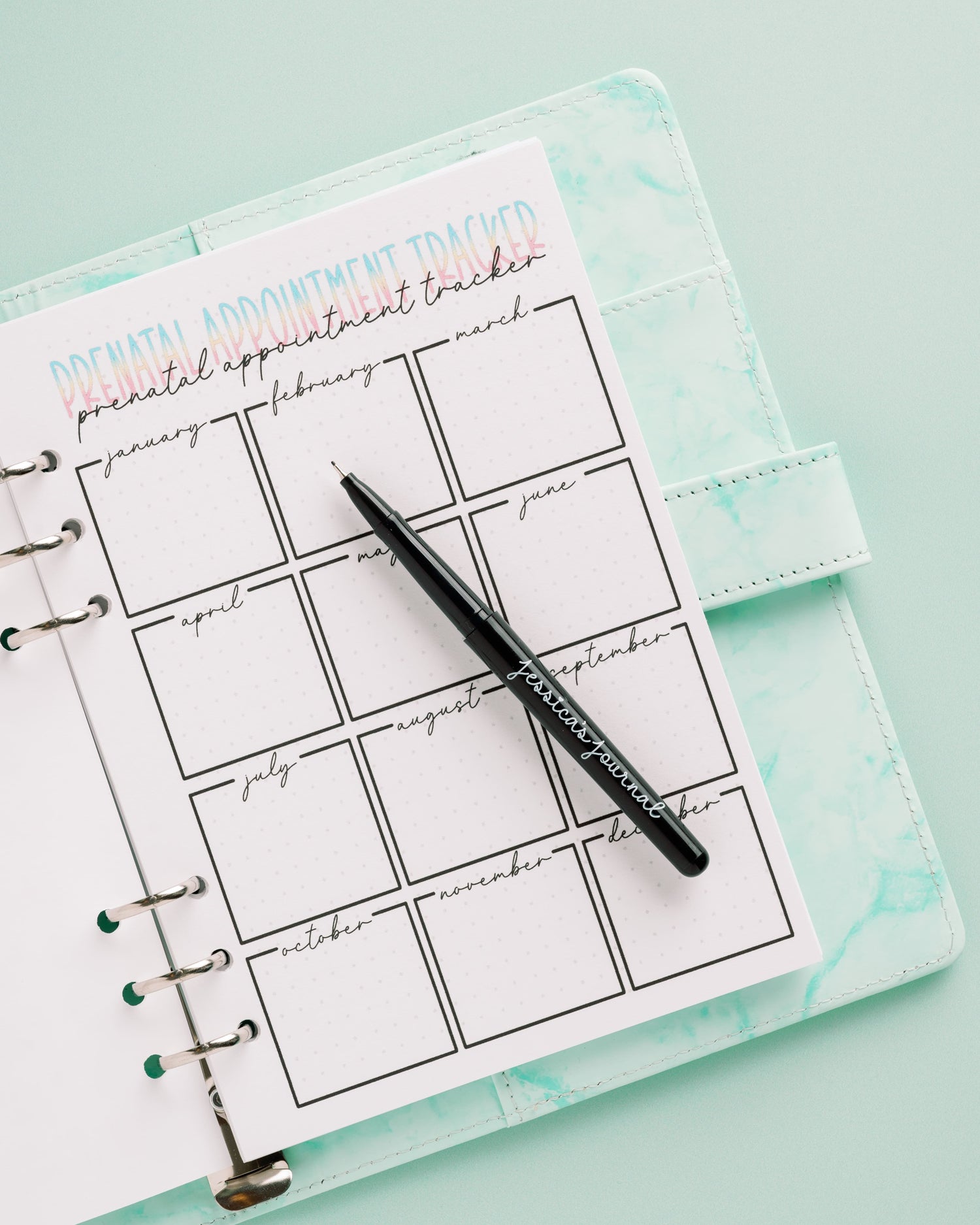 Pregnancy Journal Kit