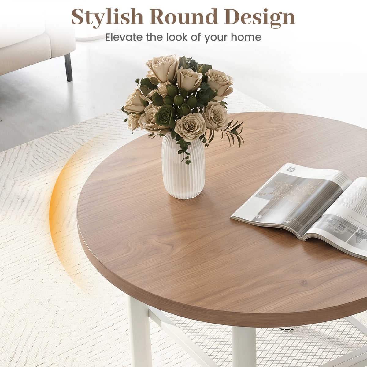 Modern Round Coffee Table Metal Frame 2-Tier with Storage Shelf